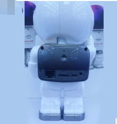 Robot Camera IP Wifi Wireless P2P Security